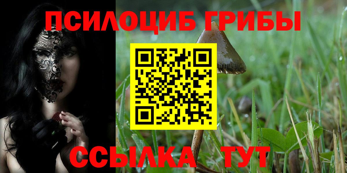 Псилоцибиновые грибы мицелий Сибай